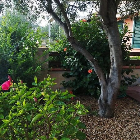 Vila La Casa Nel Borgo Chia Exteriér fotografie