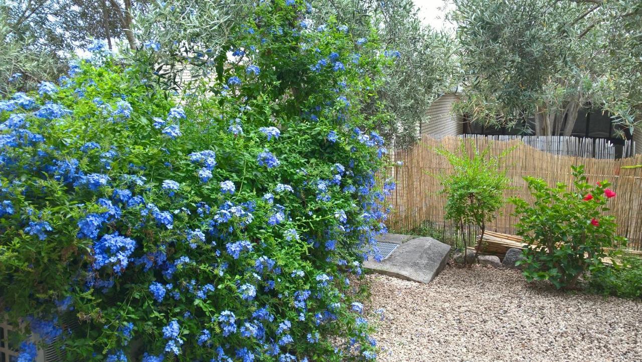 Vila La Casa Nel Borgo Chia Exteriér fotografie