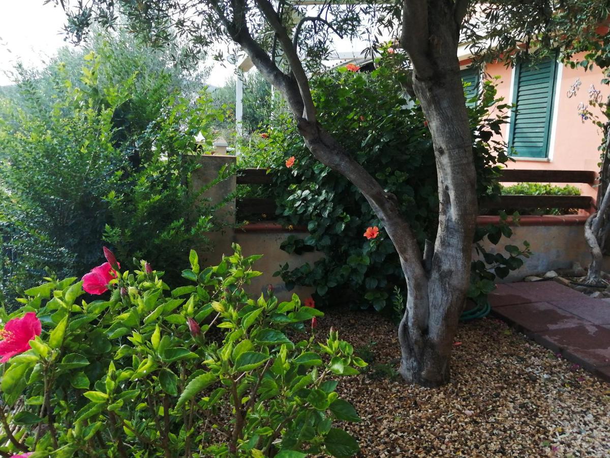 Vila La Casa Nel Borgo Chia Exteriér fotografie